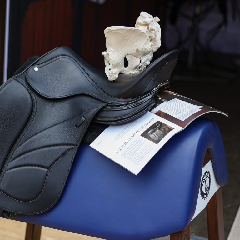 Saddle with pelvic model + brochure