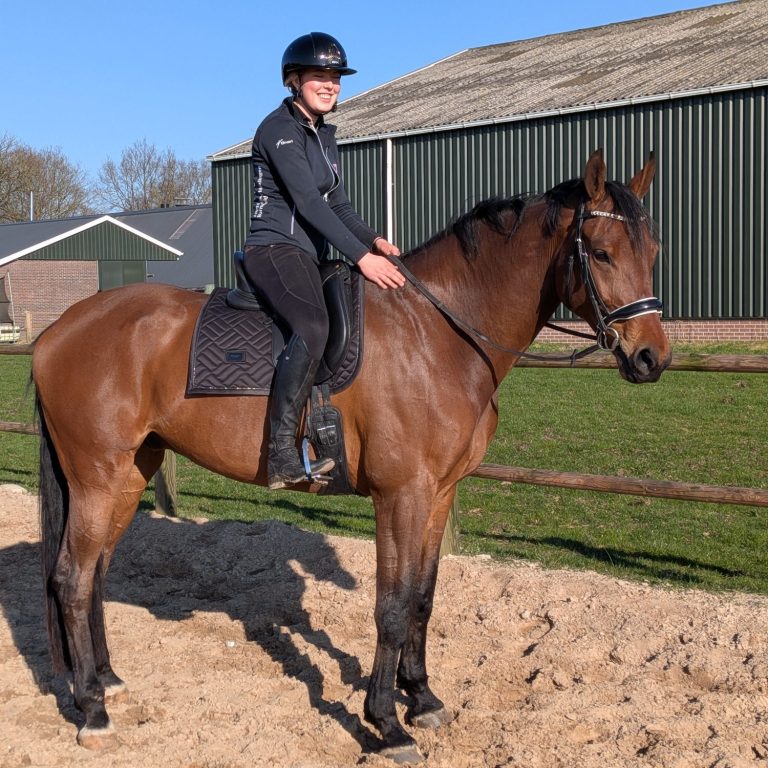 Blije ruiter op dressuurpaard – harmonie tussen paard en ruiter na zadeladvies