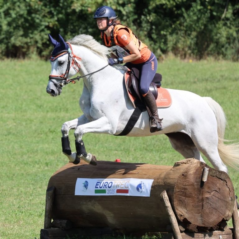 TREC ruiter springt over boomstam en wint EK in Italië na succesvolle zadelaanpassing – Saddlefit 4 Harmony