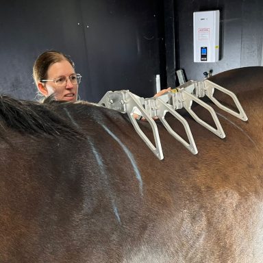 Saskia Hunder vermisst den Pferderücken mit dem Arc Device – präzise Sattelergonomie nach Biomechanik