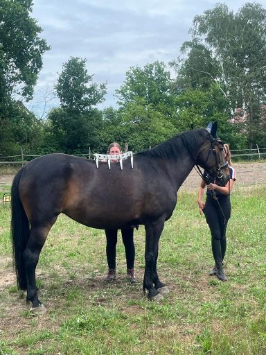 Saskia Hunder vermisst den Pferderücken mit dem Arc Device – Sattelergonomie vor Ort beim Kunden