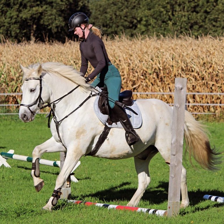 Reiterin auf Schimmel über Cavaletti – ausbalancierter Sitz nach Schleese Sattelanpassung