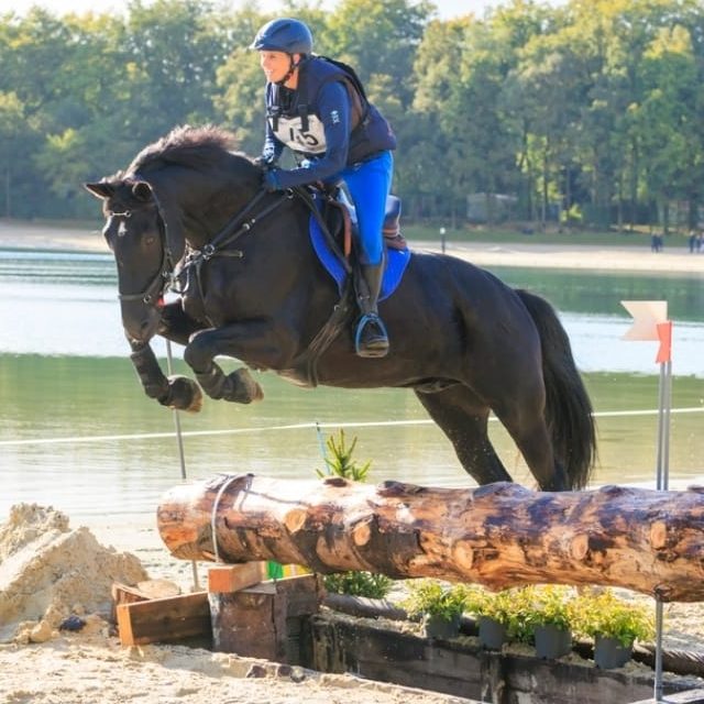 Eventing ruiter met Schleese zadel succesvol over hindernis – Saddlefit 4 Harmony