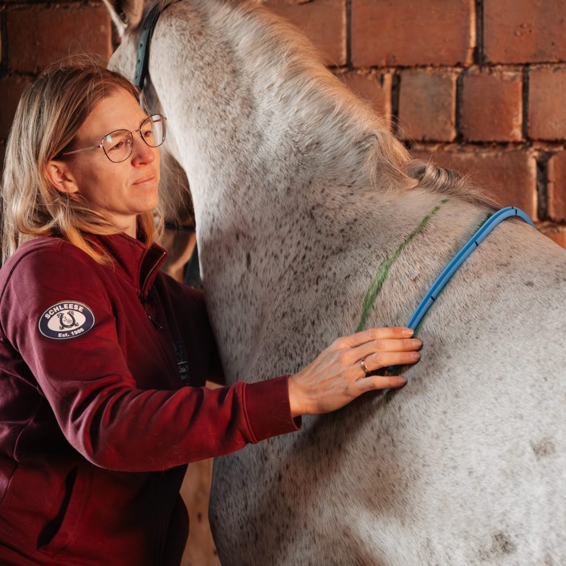 Saskia Hunder vermisst den Pferderücken mit dem Profilmesser – präzise Sattelergonomie nach Saddlefit 4 Life® Methode